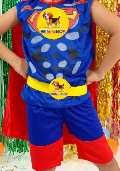 Fantasia Super Menino